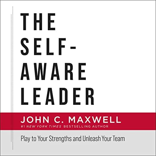 Background image of The Self-Aware Leader: Play to Your Strengths, Unleash Your Team 