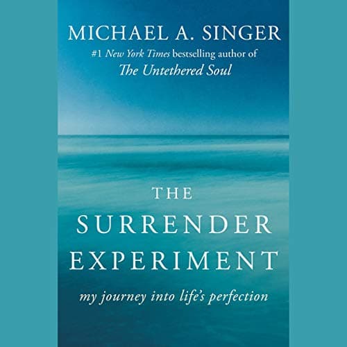 Background image of The Surrender Experiment: My Journey into Life's Perfection 
